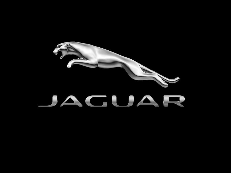 Jaguar Logo Luxury Sedan Sports Car